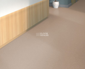 Tarkett iq Melodia 2614 фото 2 | FLOORDEALER